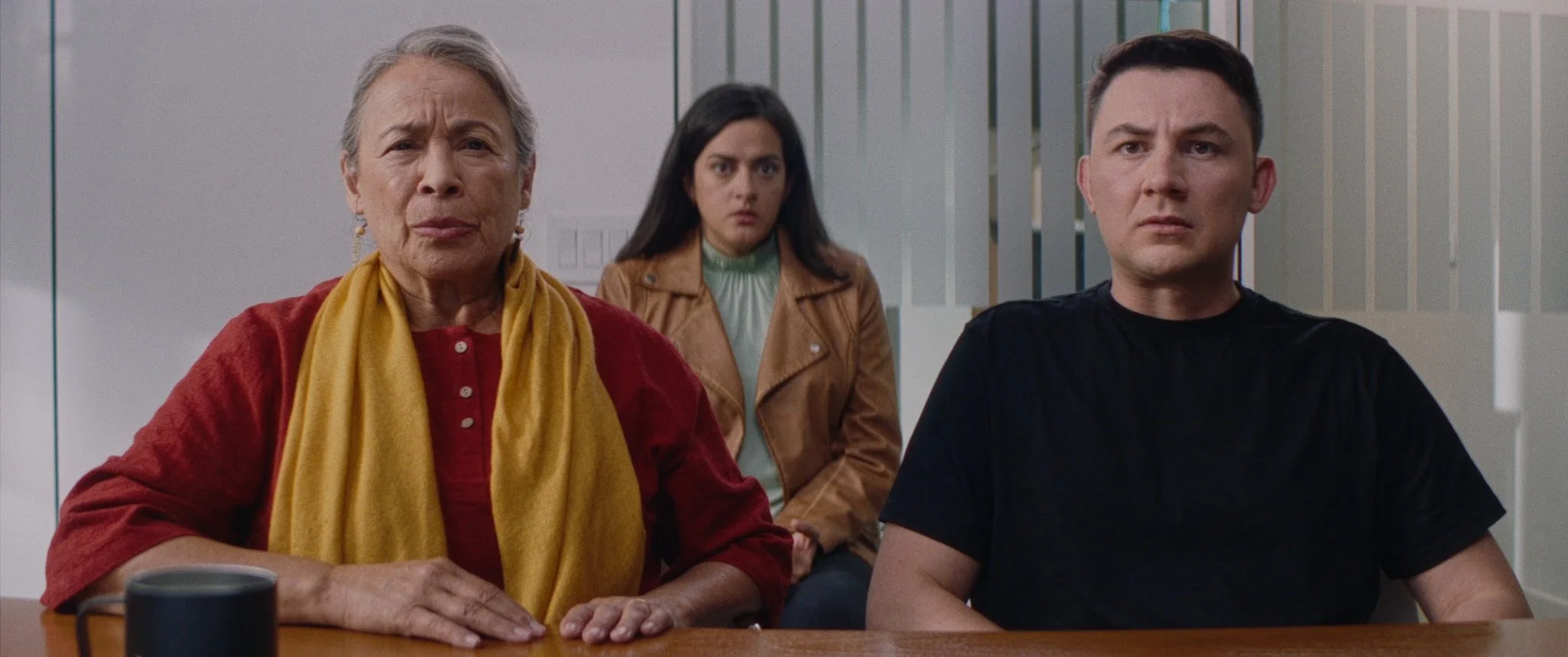 A grandmother in a red blouse and mustard scarf, a young man in black and a woman in a tan jacket stare at the camera, unimpressed, across a conference table.